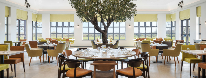 Photographer Cambridge